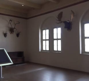 Hasensaal - Schlossmuseum