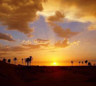 Krikichtour marrakech