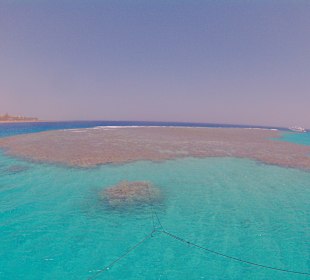 Schnorcheln Makadi Bay