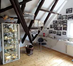 Ausstellung im Dachgeschoss des Muschelmuseums