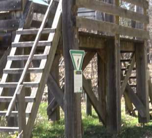 Waldkulturerbe Neuweiler Viehweide