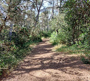 Schöner Weg