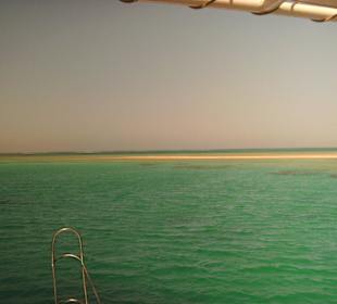 Ein Divetag vom Schiff aus