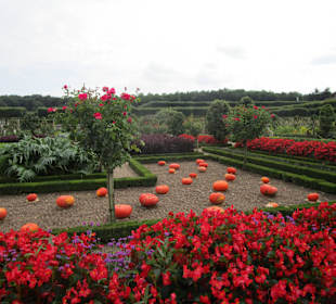  Schloss Villandry
