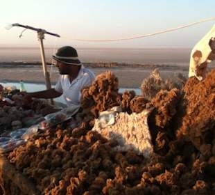 Verkäufer im Salzsee
