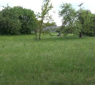 Naturinfopfad Weggental