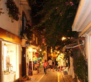 Excursión a marbella, playas y pueblo