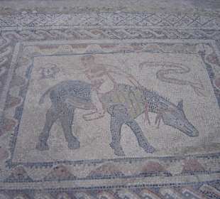 Römerstadt Volubilis