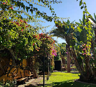 Wandern Puerto de la Cruz