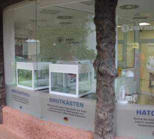 Animal Embassy - Brutkästen