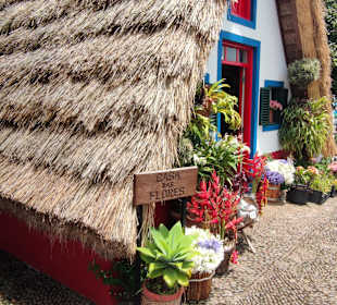 Inselrundfahrt Madeira