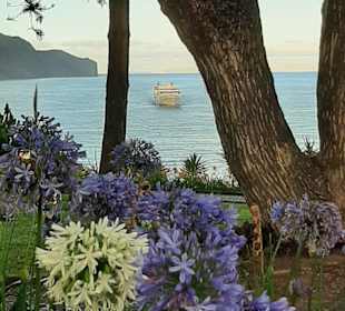 Hafenpromenade Funchal