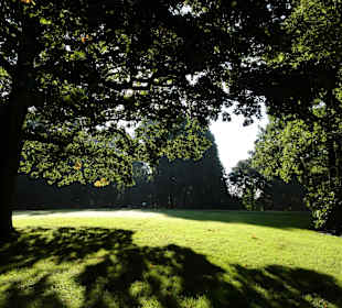 Spaziergang durch Knoops Park