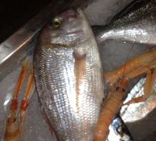 Ristorante Margherita Rimini vacanza holiday