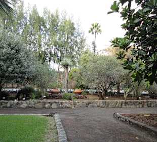 Parque Botánico de Maspalomas