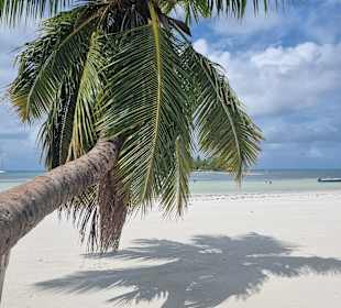 Strand Anse Volbert