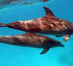 Bilder vom 13.10.16 von mir geschossen