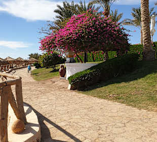 Strände Sharm el Sheikh