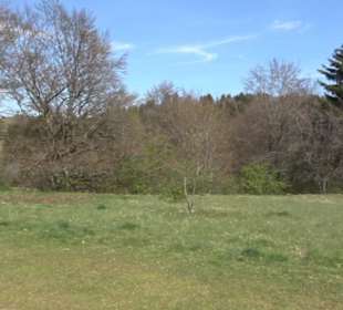 Naturreservat Beutenlay