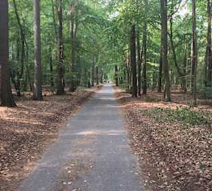 Wandern Heringsdorf