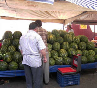 Der Gemüsemarkt