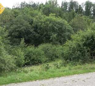 Themenweg Kaiserweg Zimmern