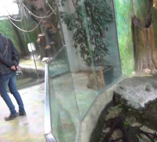 Südamerika Bereich - Südamerikahaus