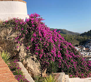 Altstadt Frigiliana