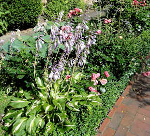 Impressionen aus dem Bibelgarten