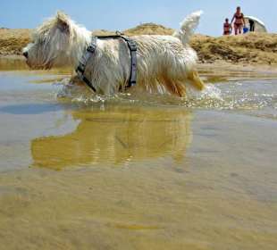 Strand von Bibione 06-2010
