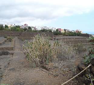 Die Pyramiden von Güimar