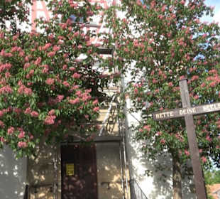 Kirche St. Wolfgang 