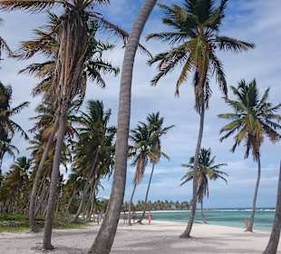 Paradiesisches Saona