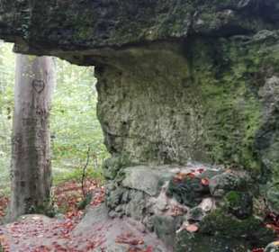 Impressionen Felsengarten