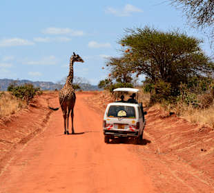 Ich zeig dir den Weg 