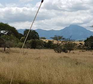 Erlebnisse und Wege der Safari