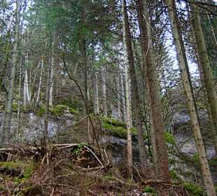 Wanderung nach Pottenstein