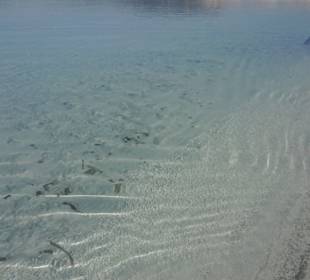Salda see