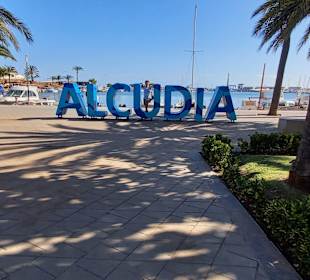 Yachthafen Alcudia
