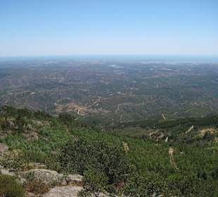 Picota Monchique