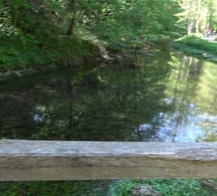 Premiumwanderweg Hochgehschätzt