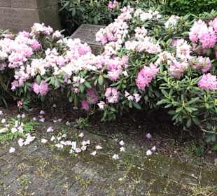 Kriegerdenkmal Musbach