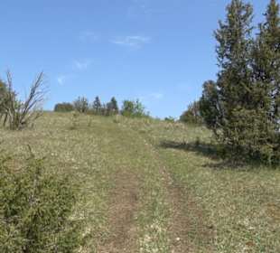 Premiumwanderweg Hochgehschätzt