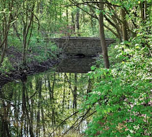 Rundgang durch den Hermann-Löns-Park