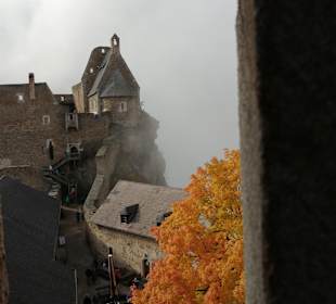 Burgruine Aggstein Aggsbach-Dorf