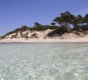 Blick vom Wasser auf den Strand