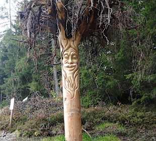 Wanderung zu Reither Kogel