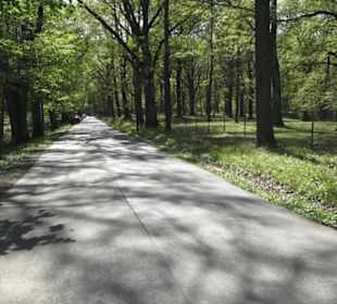 Wanderweg Hochgehwachsen