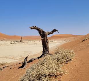 Dünen Sossusvlei