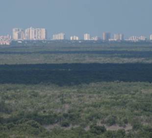 Everglades mit Marco Island im Hintergrund